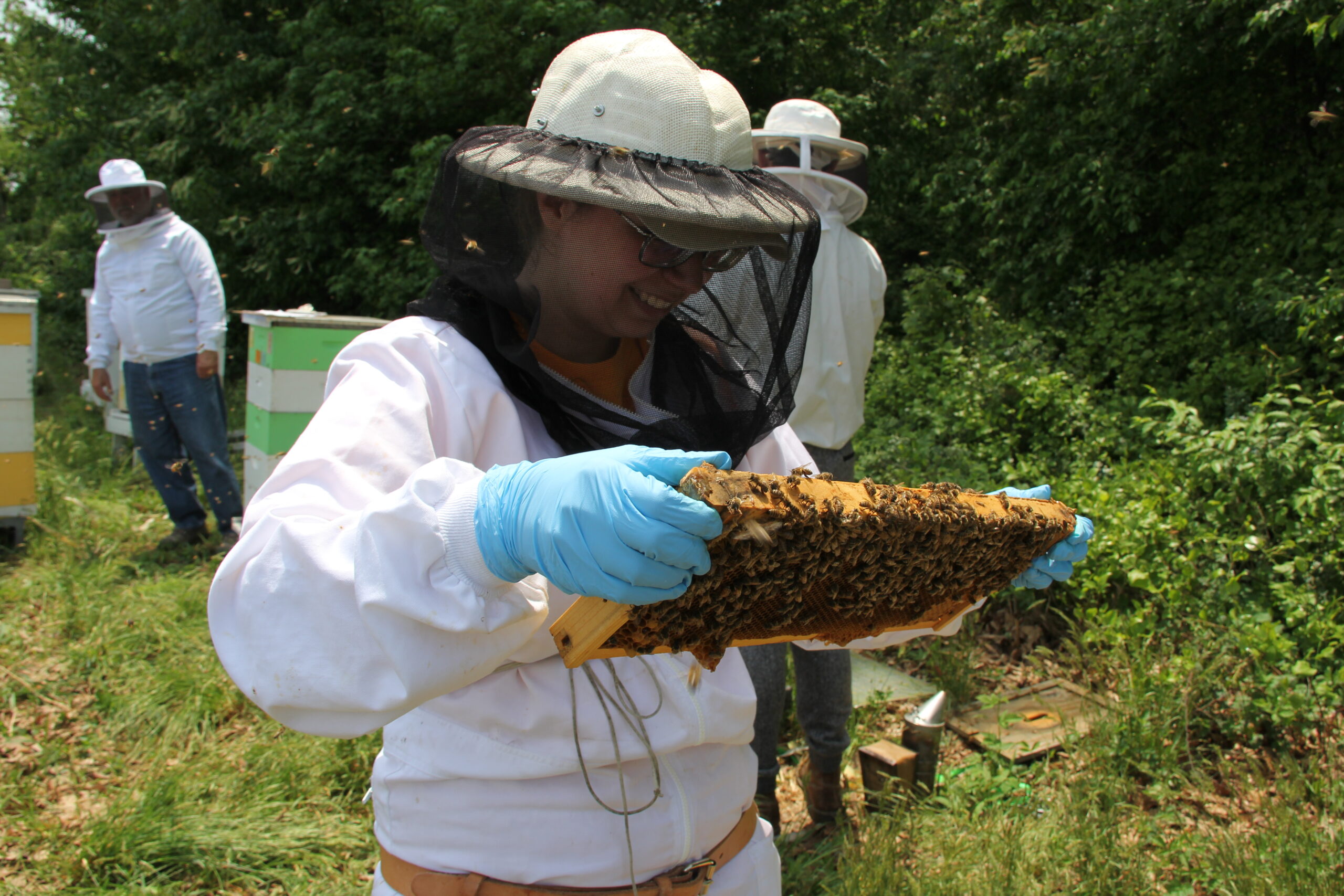 Beekeeper holding a frame of honey bees